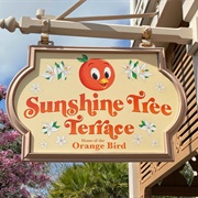 Sunshine Tree Terrace, Disney