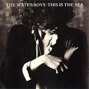 The Waterboys - This Is the Sea