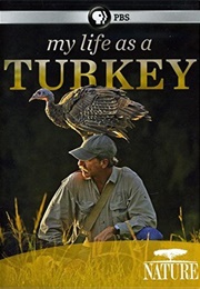 Nature: My Life as a Turkey (2011)