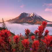 Mount St. Helens, Washington, USA