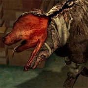 Double-Head (Silent Hill)