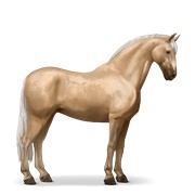 Palomino