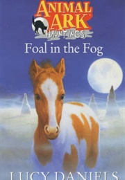 Foal in the Fog (Lucy Daniels)