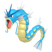 Gyarados (Male)