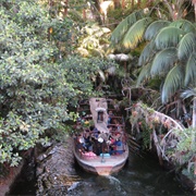 July 17, 1955: Jungle Cruise