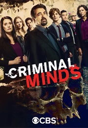 Criminal Minds (2005)