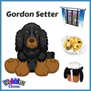 Gordon Setter