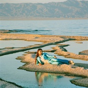 Front Row Seat to Earth (Weyes Blood, 2016)