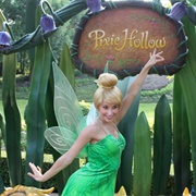 Oct. 25, 2008: Pixie Hollow