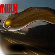 Highway Worm