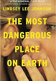 The Most Dangerous Place on Earth (Lindsey Lee Johnson)