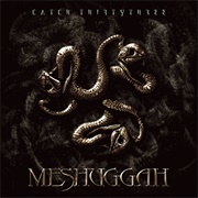 Catch Thirtythree (Meshuggah, 2005)