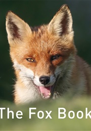 The Fox Book (Jane Russ)