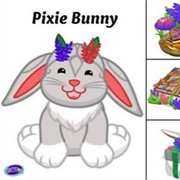 Pixie Bunny