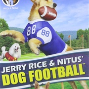 Jerry Rice &amp; Nitus&#39; Dog Football