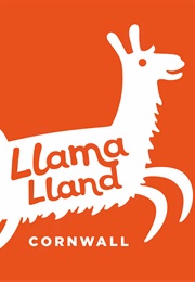 Llama Land (Veralee Wiggins)