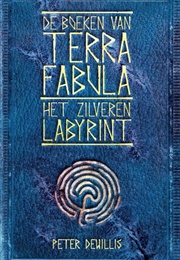 Het Zilveren Labyrint (Peter Dewillis)