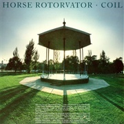 Coli - Horse Rotorvator