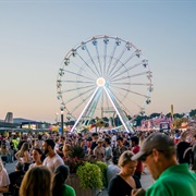 Visit a State Fair