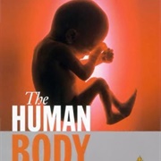 The Human Body (BBC)