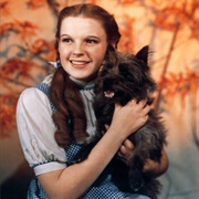 Dororthy Gale (The Wizard of Oz, 1939)