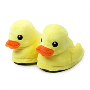 Duck Slippers