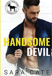 Handsome Devil (Sara Cate)