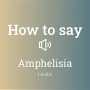 Amphelisia