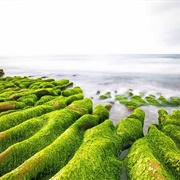 Lao Mei Green Reef