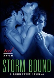 Storm Bound (Alice Gaines)