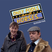 Only Fools and Horses: Series 5