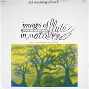 Joel Vandroogenbroeck - Images of Flute in Nature