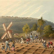 Caribbean History