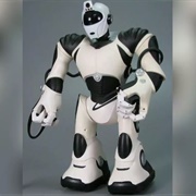 2004: Robosapien