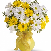 Daisy Bouquet