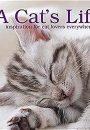 A Cat&#39;s Life (Parragon Books)