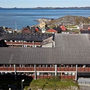 Greenlandic Government