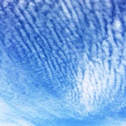 Cirrocumulus