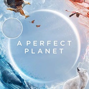 A Perfect Planet