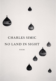 No Land in Sight (Charles Simic)