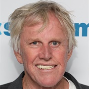 Gary Busey: Debt to the IRS