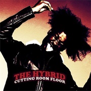 The Hybrid: Cutting Room Floor (Danny Brown, 2010)