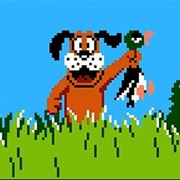 Duck Hunt