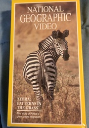 Zebras: Patterns in the Grass (1991)