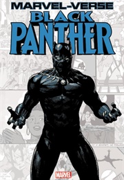 Marvel-Verse: Black Panther (Jeff Parker)
