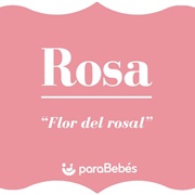 Rosa