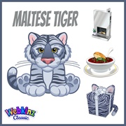 Maltese Tiger