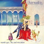 Harnakis - Numb Eyes, the Soul Revelation