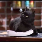 Salem Saberhagen (&quot;Sabrina the Teenage Witch&quot;)