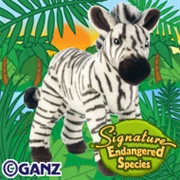 Signature Endangered Cape Mountain Zebra